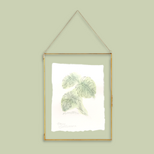 Load image into Gallery viewer, Monstera Plant Mini Original Art
