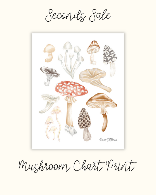 Mushroom Chart Print - Seconds Sale