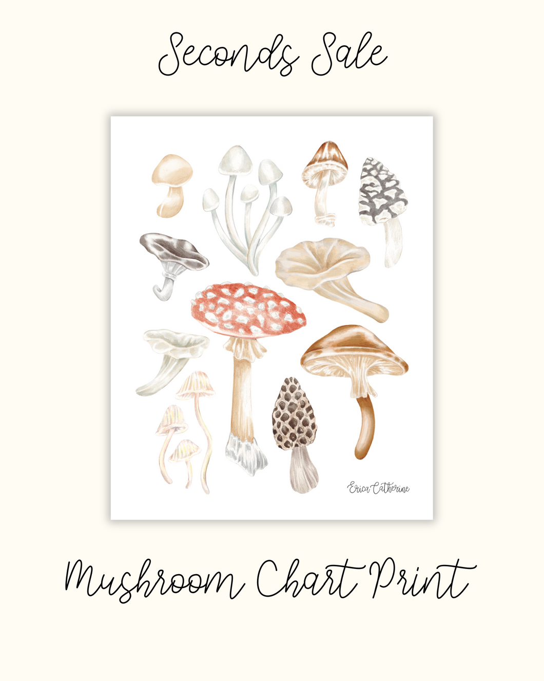 Mushroom Chart Print - Seconds Sale
