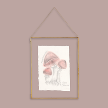 Load image into Gallery viewer, A framed mushroom art print hanging against a dusty mauve background. The print features a pencil and ink drawing of three pinkish-brown mushrooms on textured white paper, enclosed in a thin gold frame with a hanging chain.
