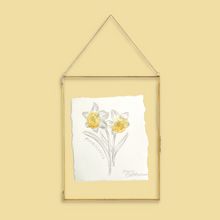 Load image into Gallery viewer, December Birth Flower - Narcissus Mini Original Drawing
