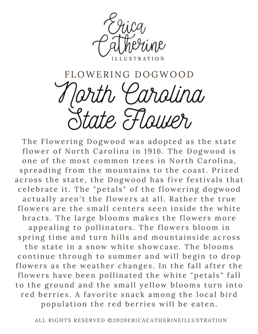 North Carolina State Map Print - Seconds Sale