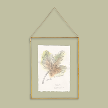 Load image into Gallery viewer, A botanical art print of an oak leaf and acorn, presented in a thin gold metal frame with a hanging chain against a solid sage green background.
