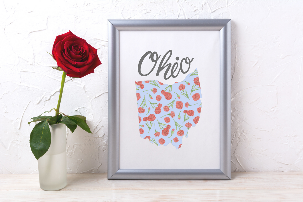 Ohio State Map Art Print