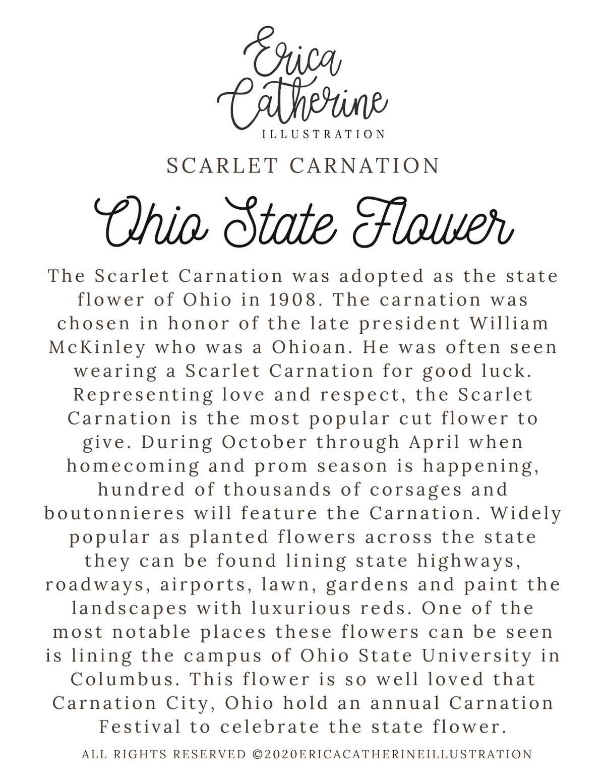 Ohio State Map Art Print