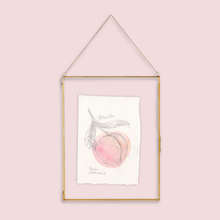 Load image into Gallery viewer, A gold-framed hanging artwork featuring a watercolor illustration of a peach with the word 'Peach' written, suspended against a solid pale pink background.

