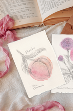 Load image into Gallery viewer, Two small art cards with watercolor illustrations of peaches and flowers, styled on a cream fabric with an open book and pink ribbon in the background.
