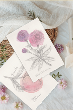 Load image into Gallery viewer, Two botanical artworks with watercolor illustrations of Zinnia flowers and peaches, styled on a soft white fabric with small pink flowers and woven mats.
