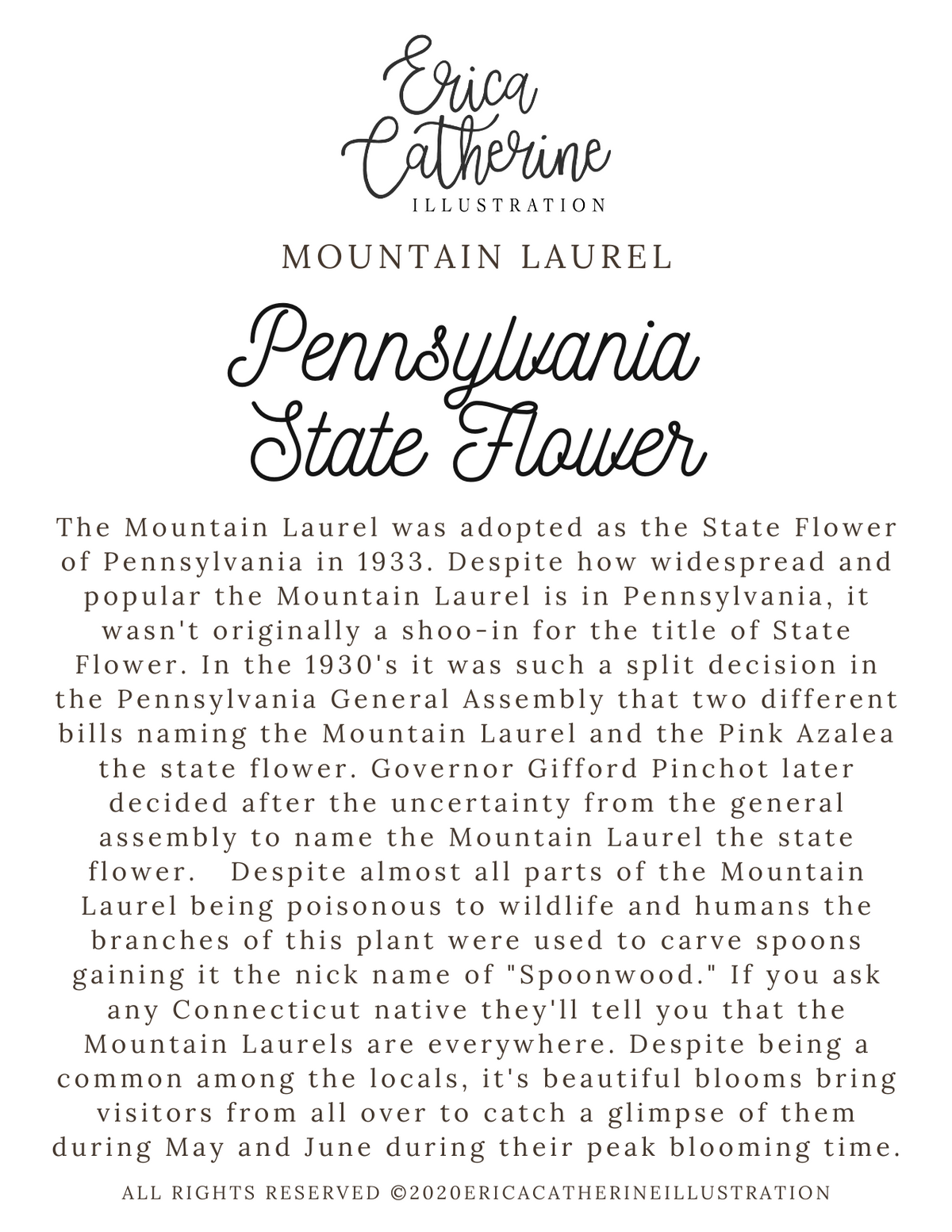 Pennsylvania State Flower Map - Seconds Sale