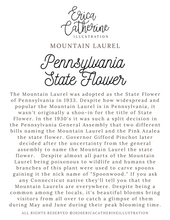 Load image into Gallery viewer, Pennsylvania State Flower Map - Seconds Sale
