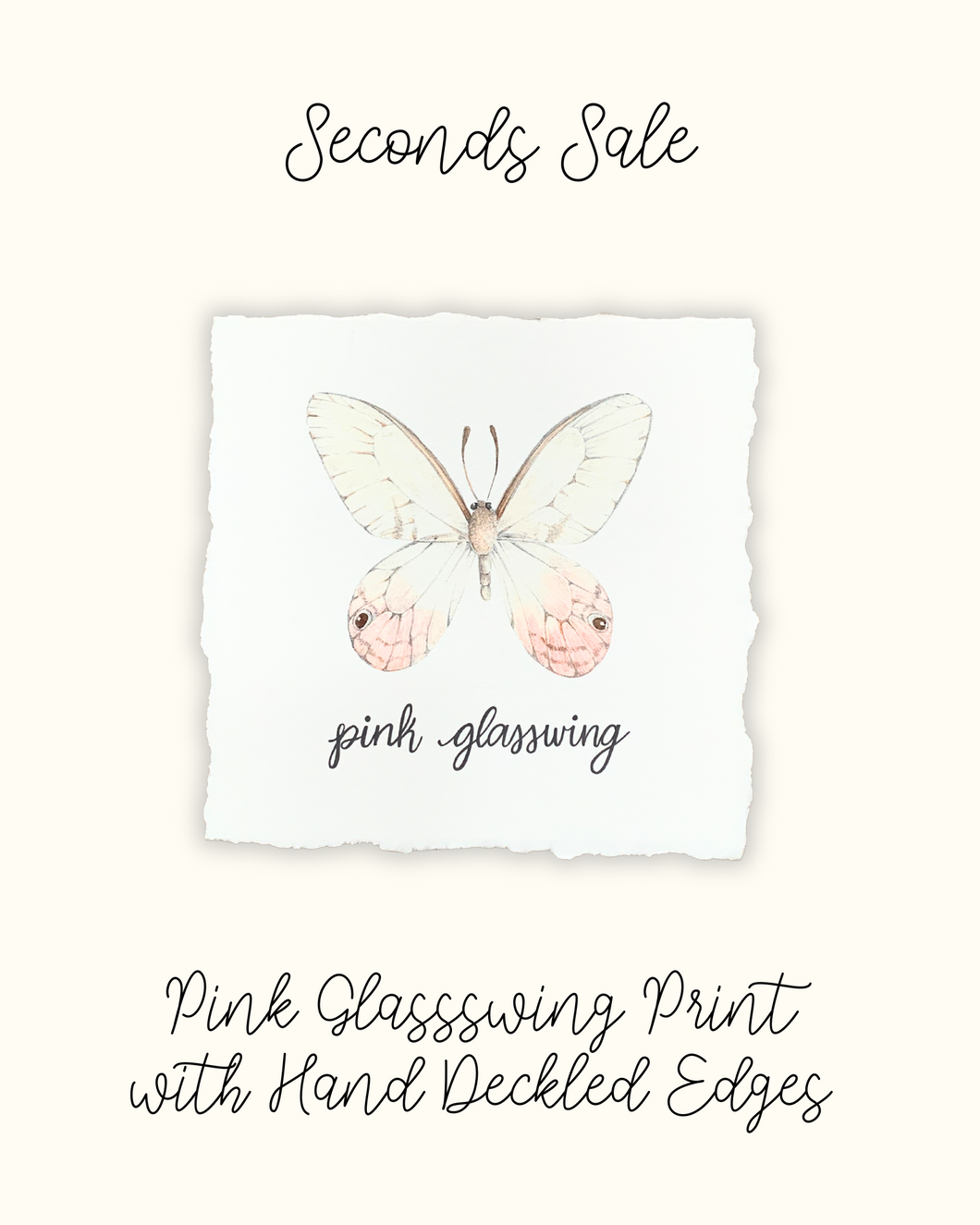 Pink Glasswing Print with Hand Deckled Edge - Seconds Sale