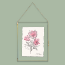 Load image into Gallery viewer, Savannah Azalea Original Illustration
