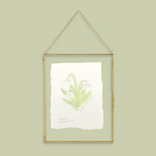 Load image into Gallery viewer, January Birth Flower - Snowdrop Mini Original Drawing
