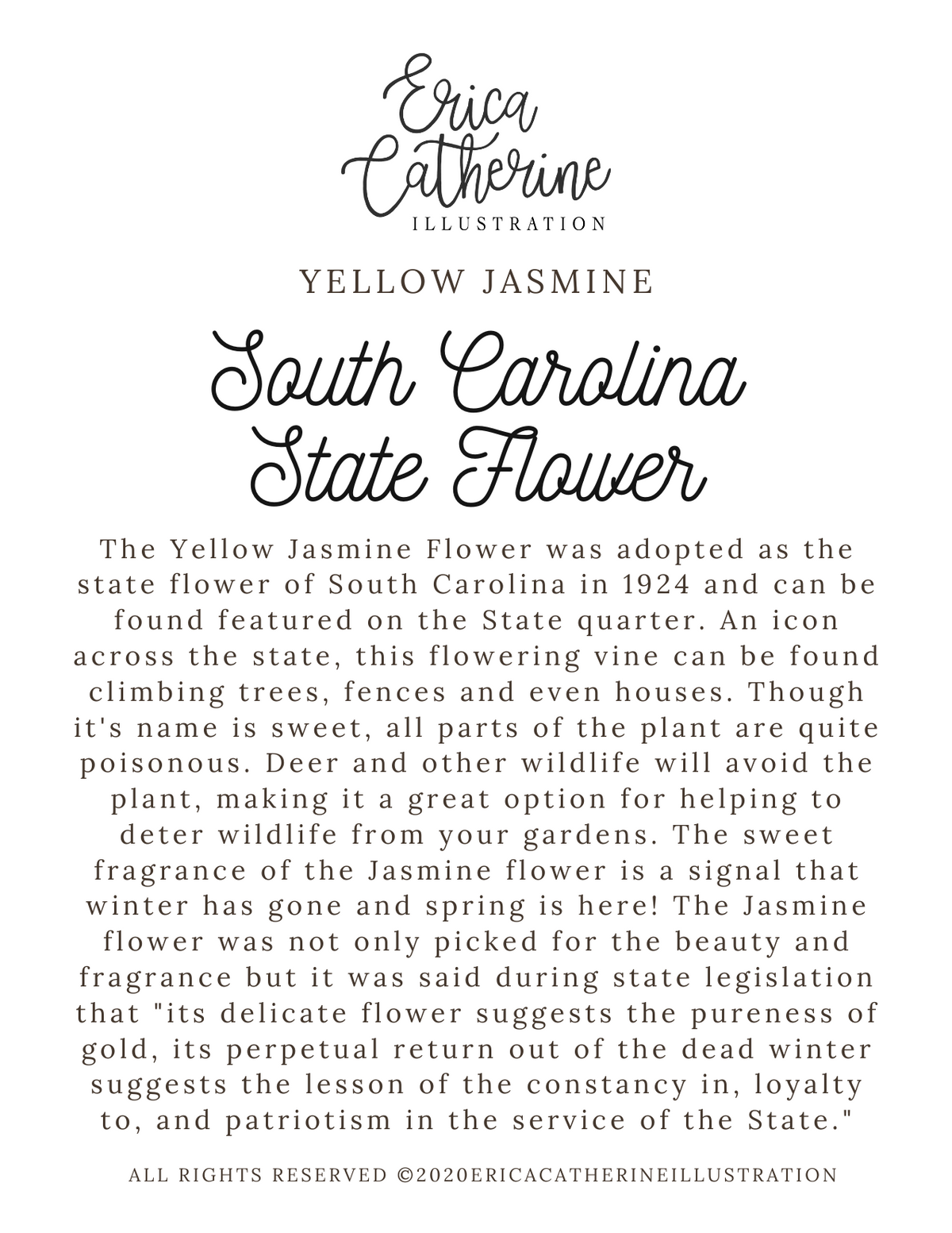 South Carolina State Map Art Print