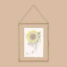 Load image into Gallery viewer, Sunflower Original Artwork
