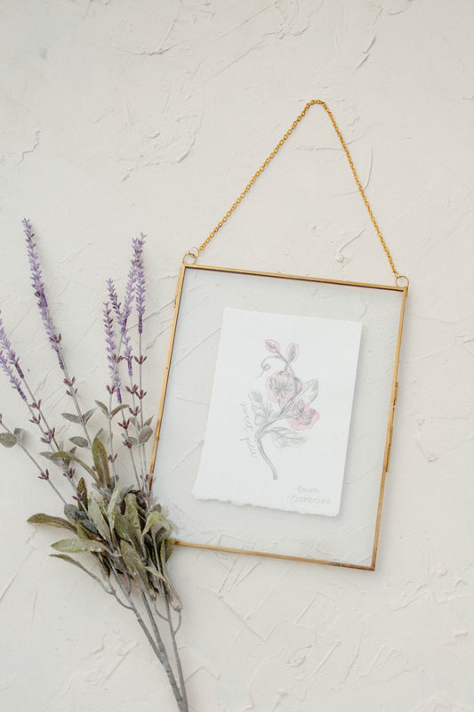 April Birth Flower - Sweet Pea Mini Original Drawing