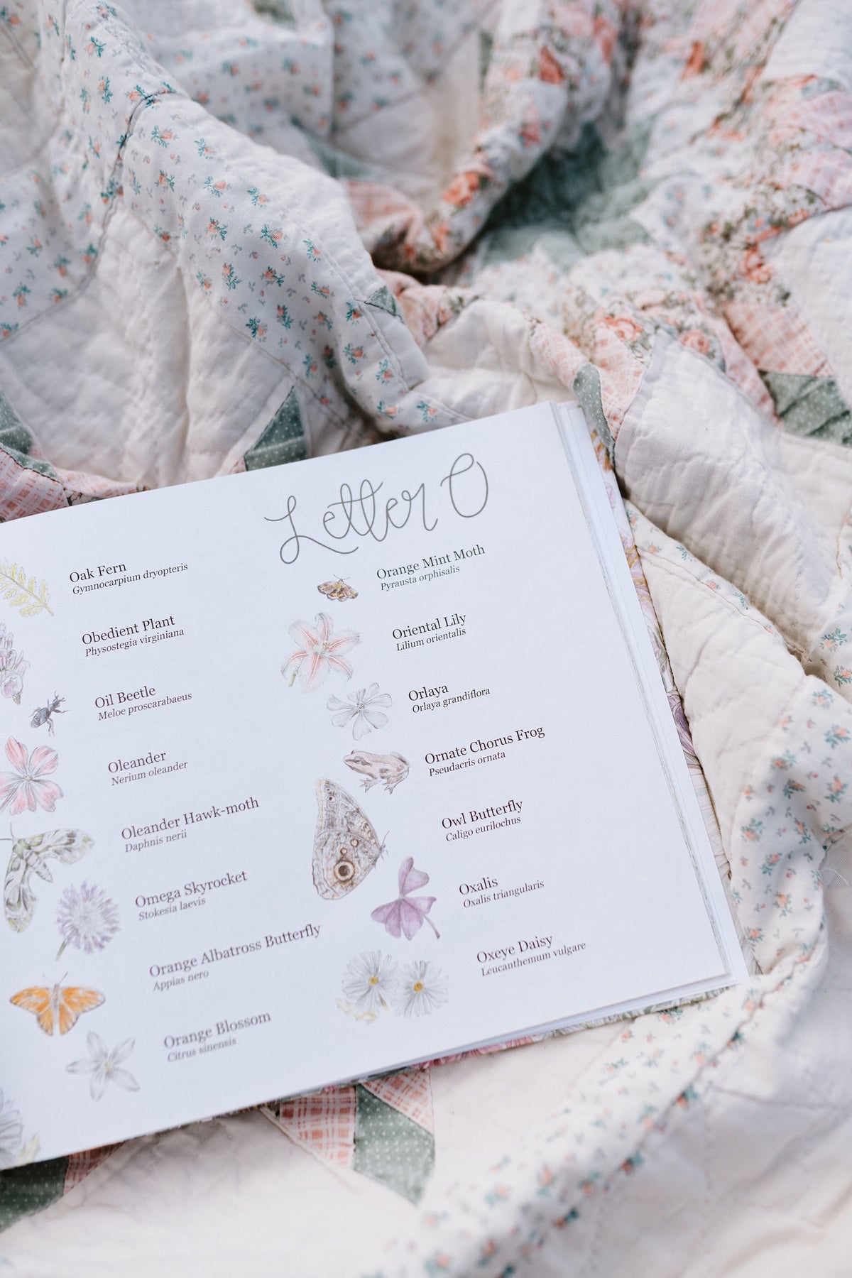 Open book of floral illustrations and text on a floral blanket