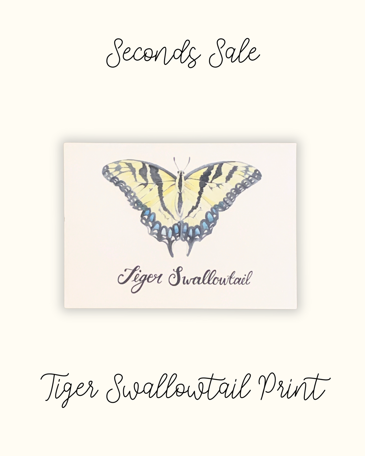 Tiger Swallowtail 5x7" Print - Seconds Sale