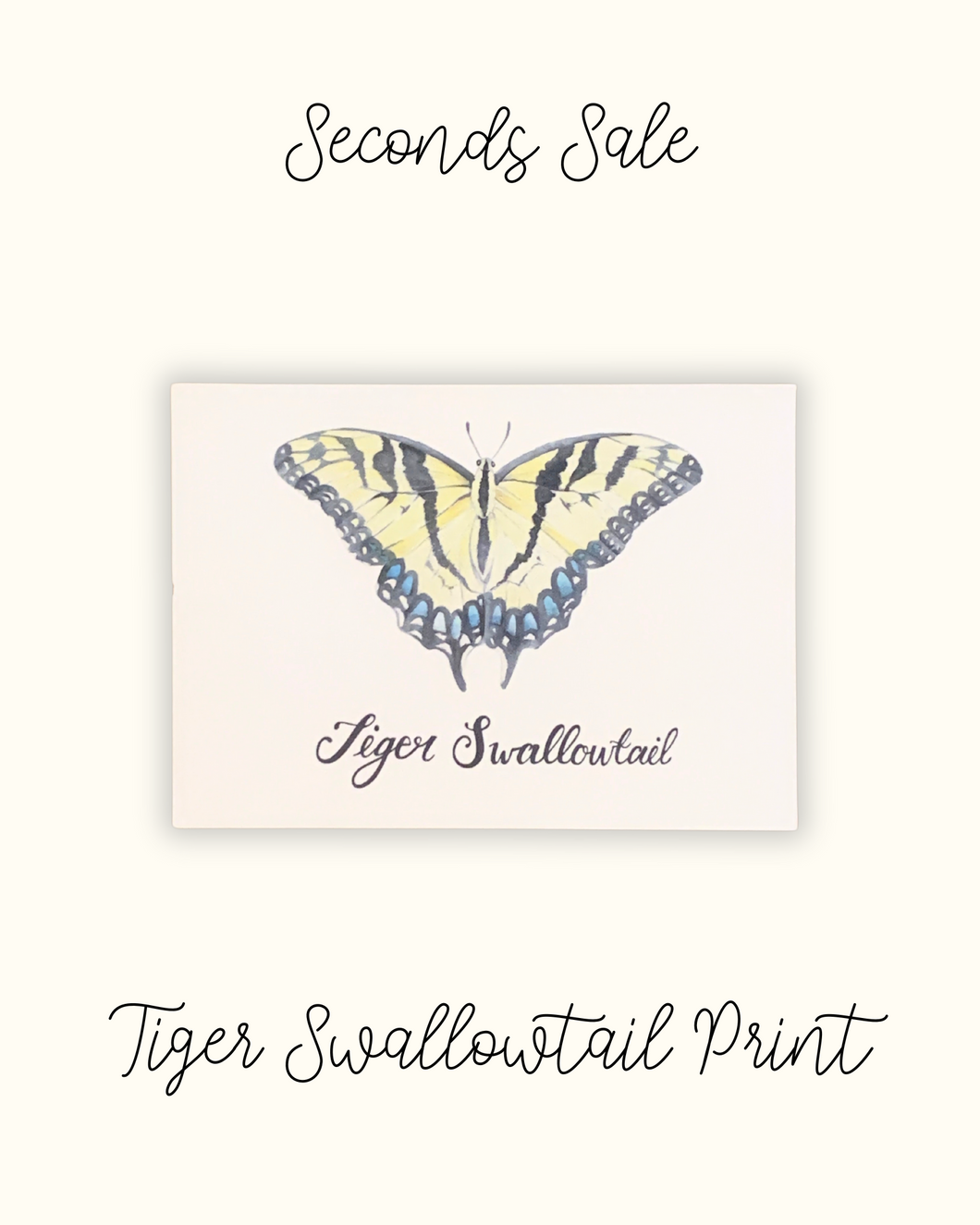 Tiger Swallowtail 5x7