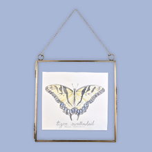Load image into Gallery viewer, Tiger Swallowtail Butterfly Original Artwork - UNFRAMED
