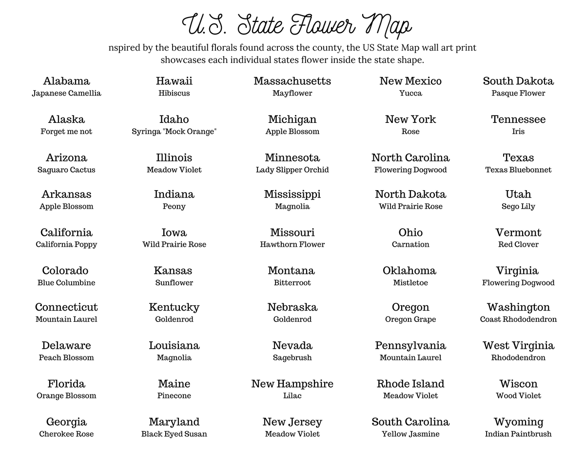 US State Flower Map Print - Seconds Sale