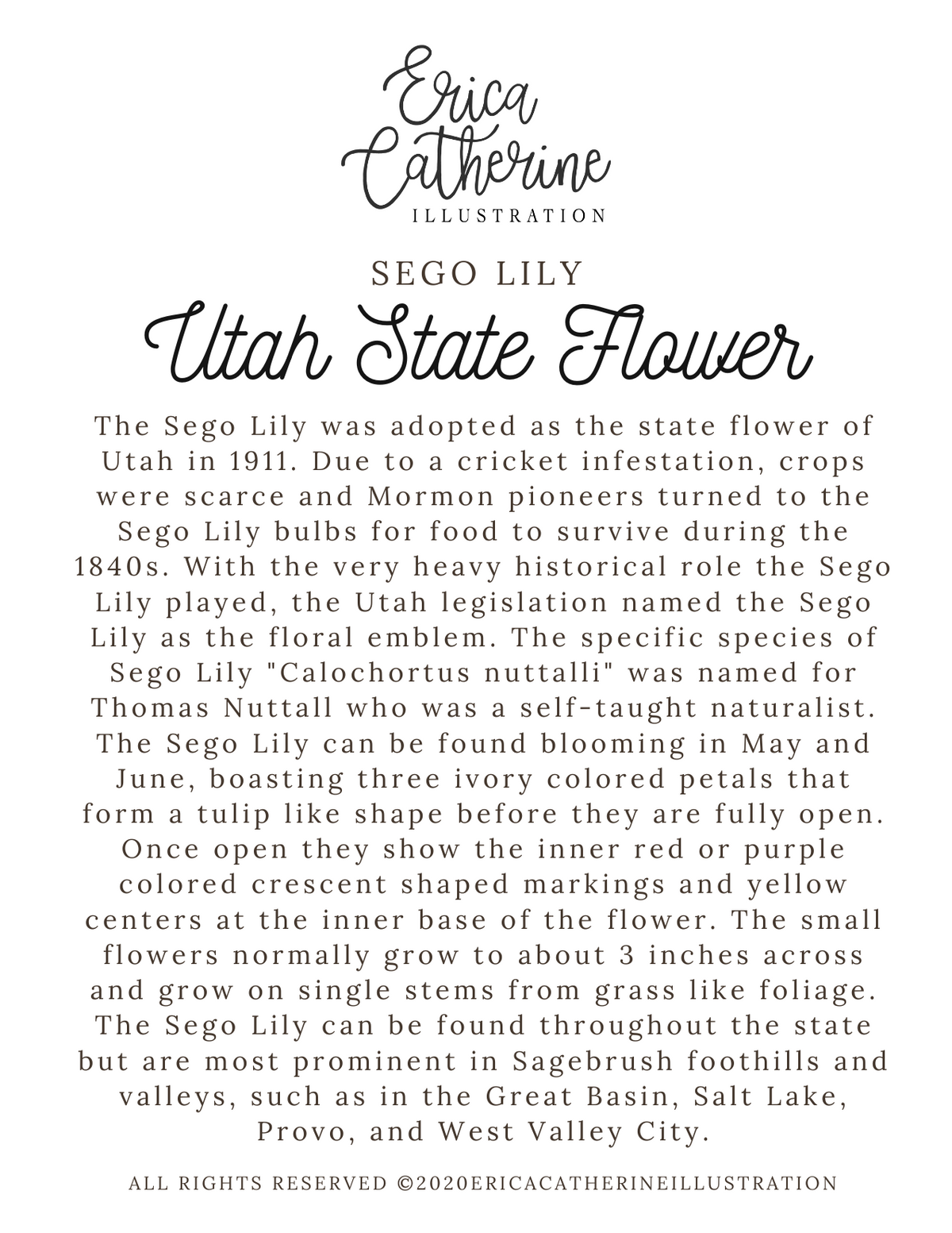 Utah State Map Art Print