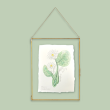 Load image into Gallery viewer, July Birth Flower - Water Lily Mini Original Artwork
