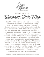 Load image into Gallery viewer, Wisconsin State Map Art Print
