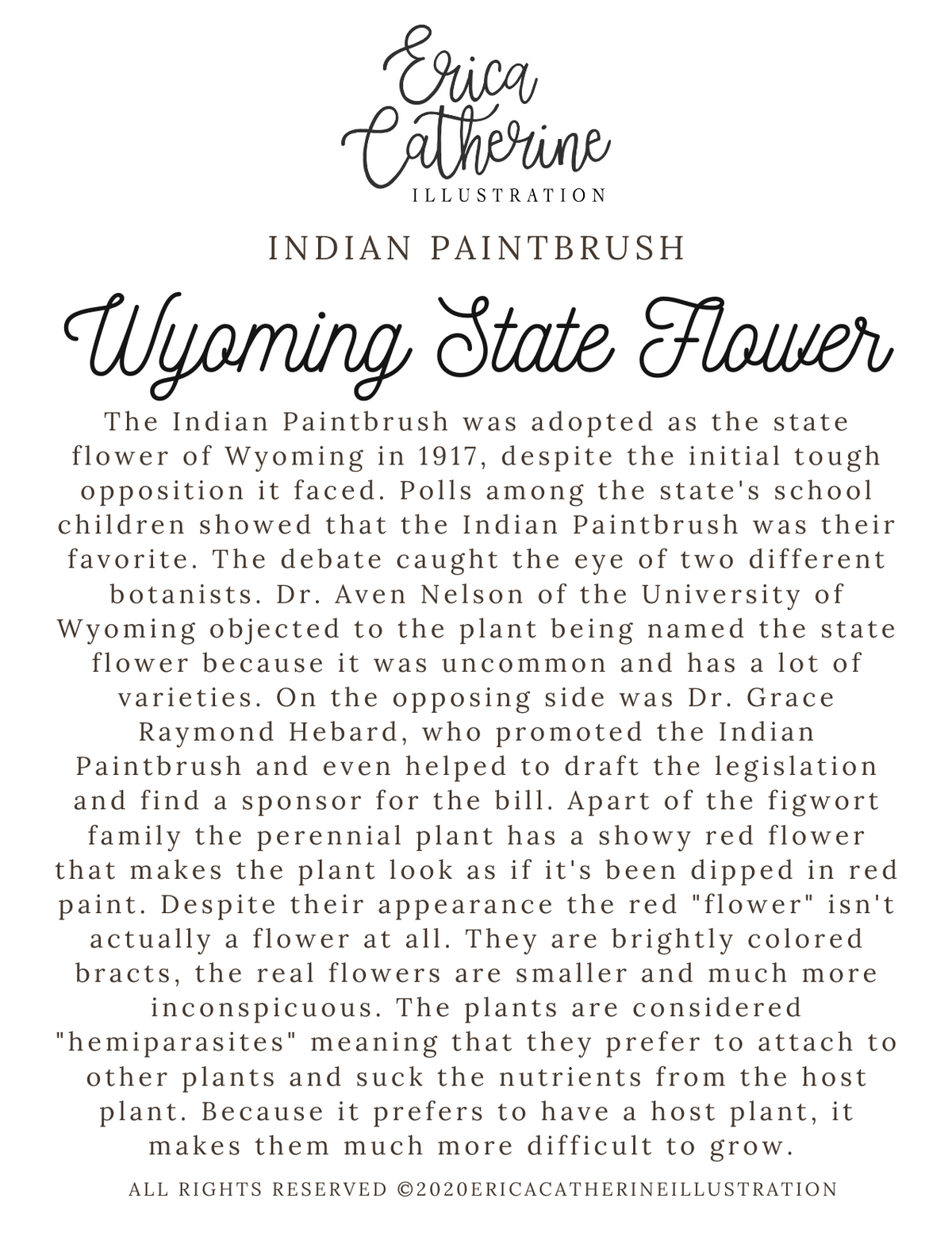 Wyoming State Flower Art Print