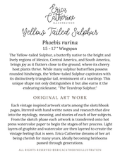 Load image into Gallery viewer, Yellow Tailed Sulphur Butterfly Original Artwork
