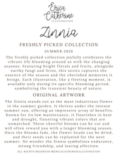 Load image into Gallery viewer, A digital imfocard of a botanical art print titled 'Zinnia' by Erica Catherine Illustration, featuring descriptive text for the 'Freshly Picked Collection' and 'Original Artwork' on a solid white background.
