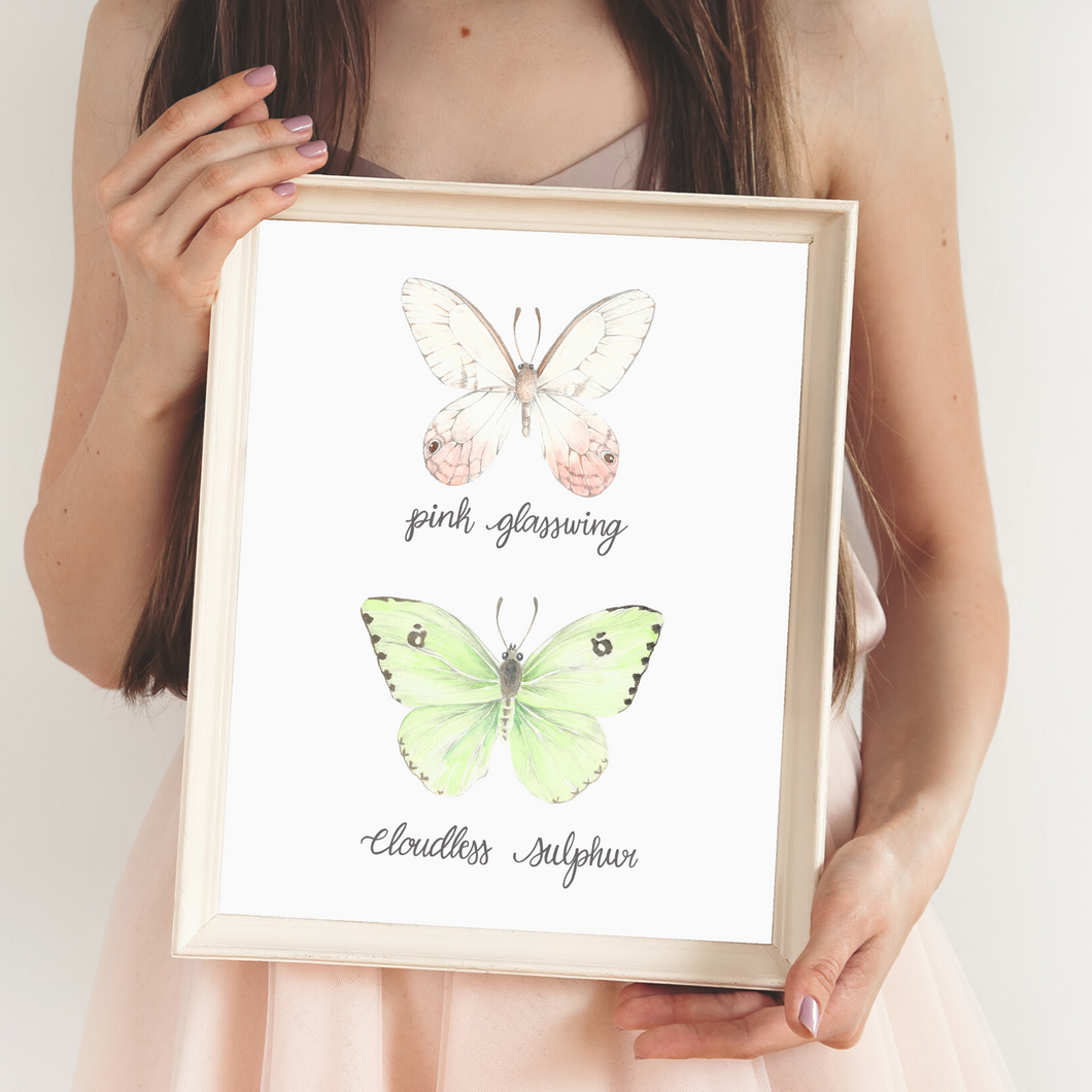 Pink Glasswing and Cloudless Sulphur Butterfly Art Print