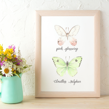 Load image into Gallery viewer, Pink Glasswing and Cloudless Sulphur Butterfly Art Print
