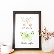 Load image into Gallery viewer, Pink Glasswing and Cloudless Sulphur Butterfly Art Print
