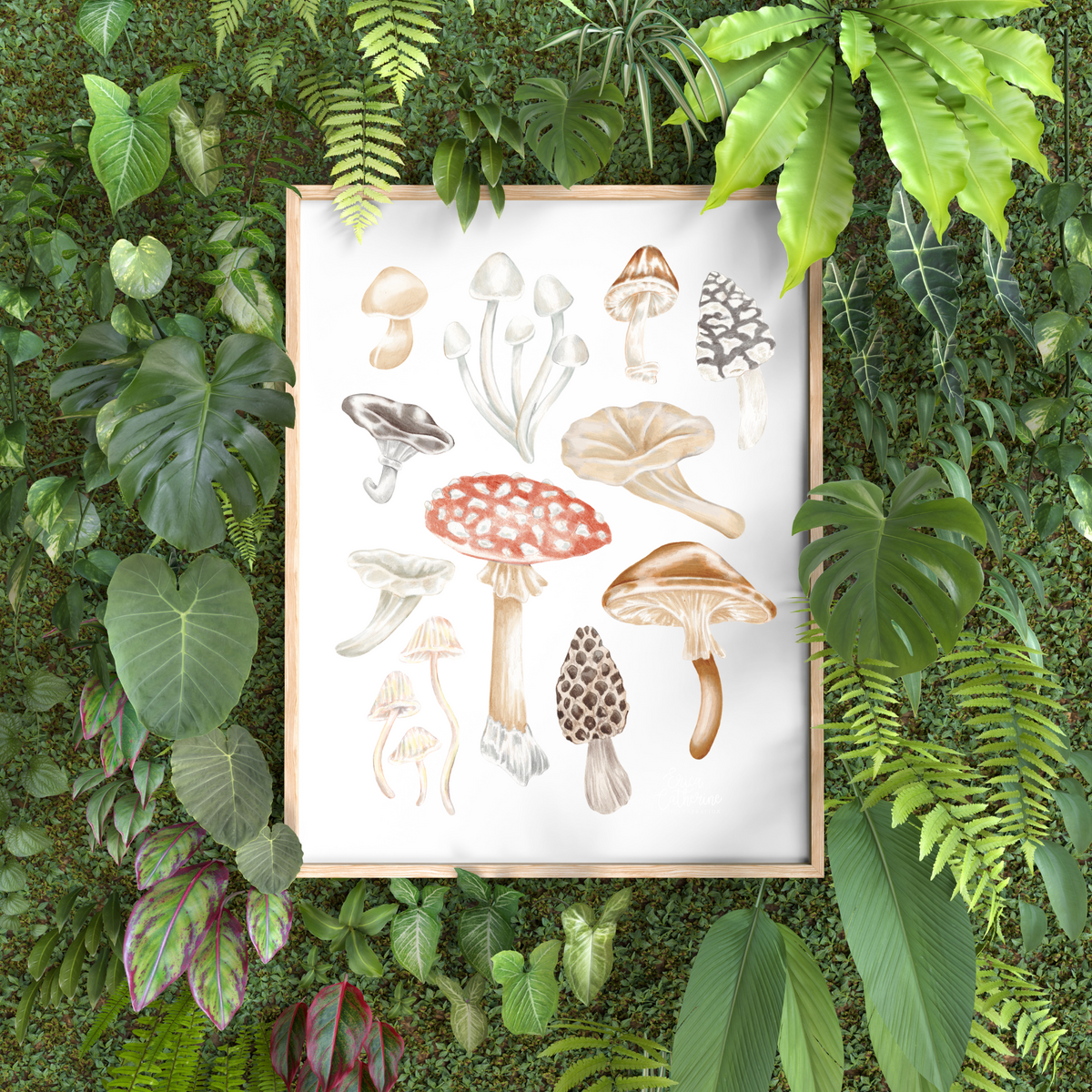 Mushroom Chart Art Print