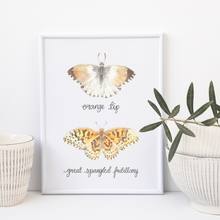 Load image into Gallery viewer, Orange Tip and Great Spangled Fritillary Butterfly Art Print
