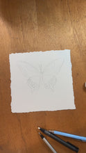Load and play video in Gallery viewer, Black Swallowtail Butterfly Art Print
