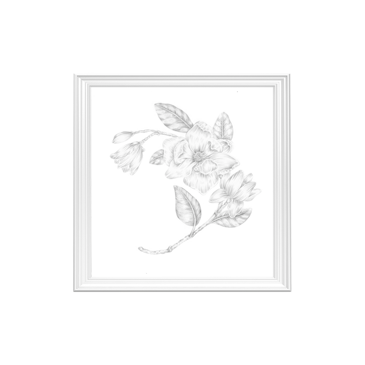 Magnolia Flower Art Print