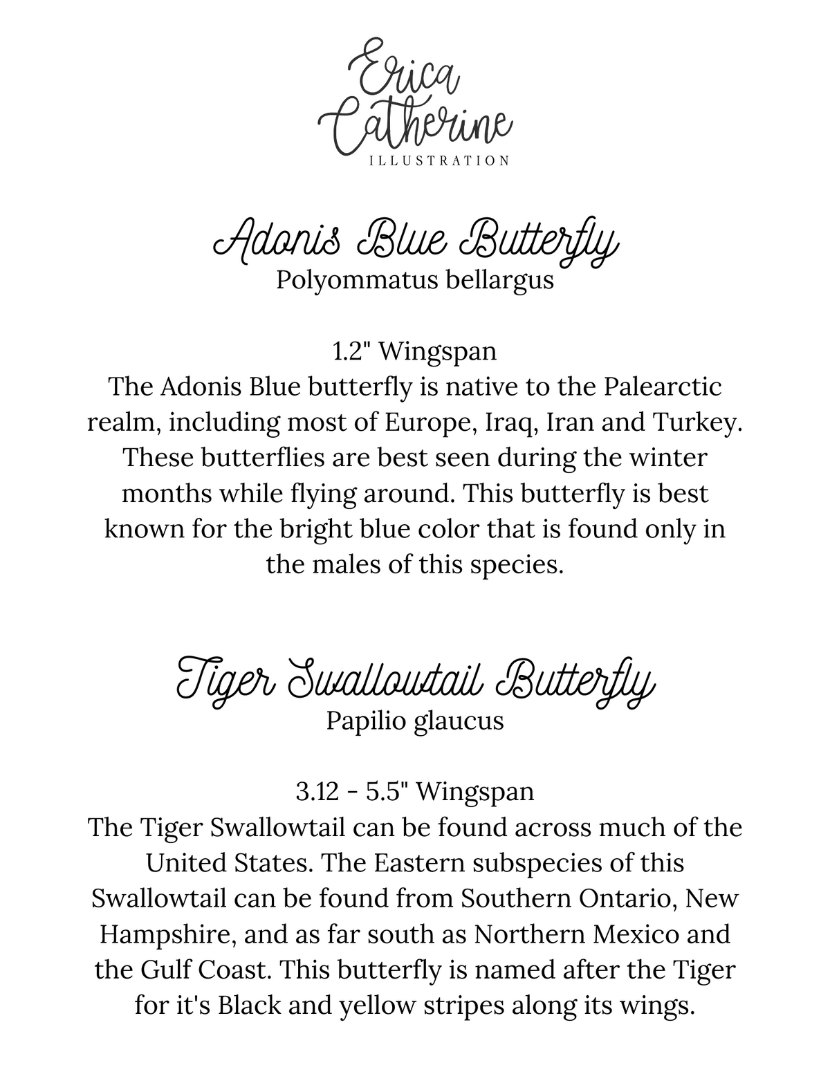 Adonis Blue & Tiger Swallowtail Butterfly Art Print