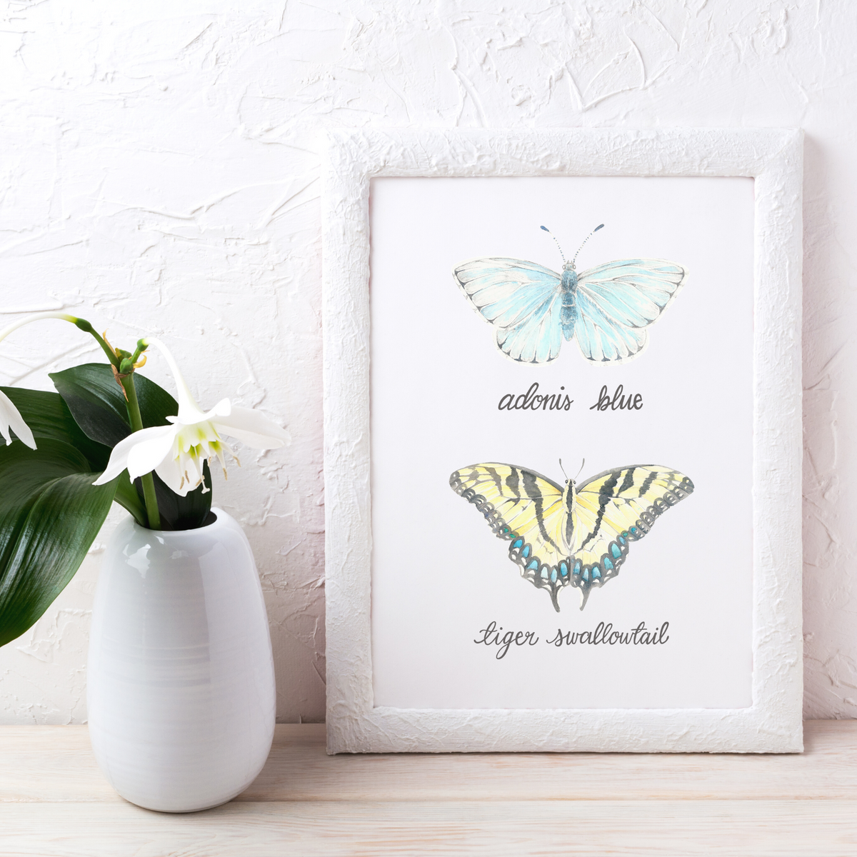 Adonis Blue & Tiger Swallowtail Butterfly Art Print