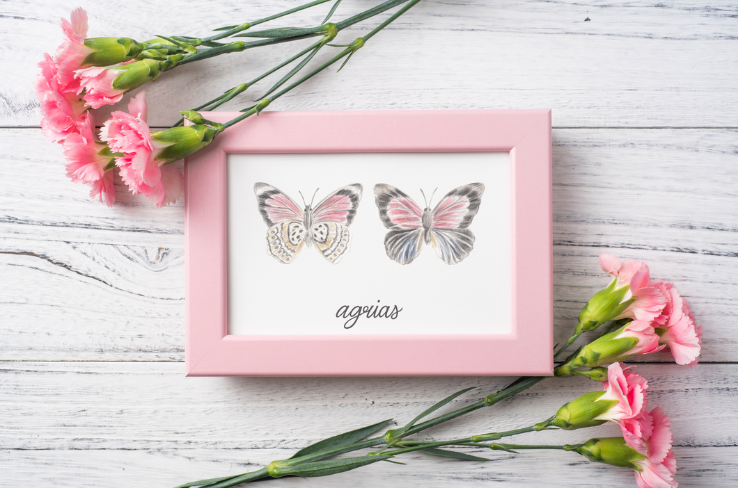 Agrias Butterfly Art Print