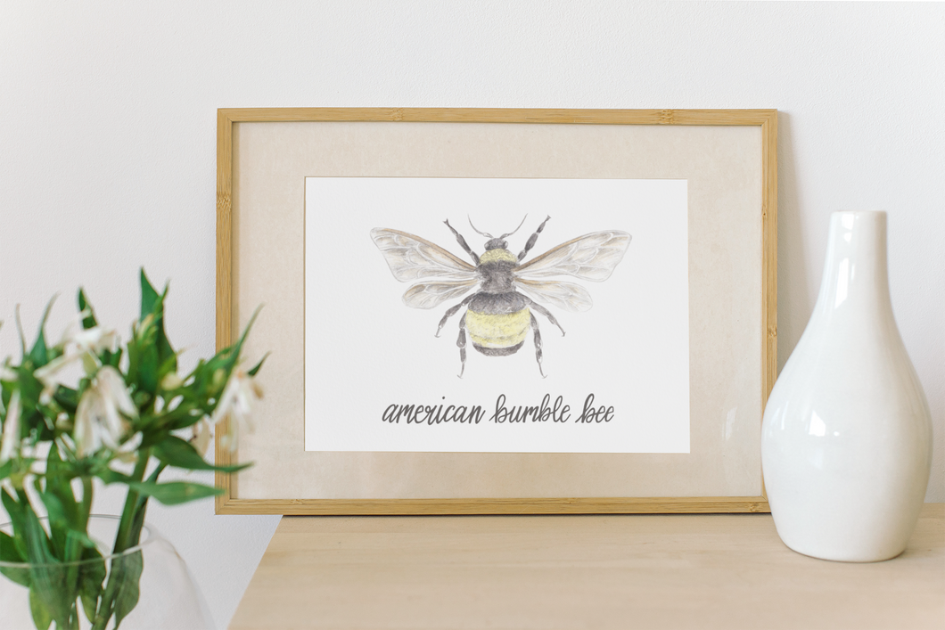 American Bumble Bee Print