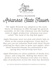 Load image into Gallery viewer, Arkansas State Flower Map Vinyl Sticker
