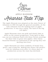 Load image into Gallery viewer, Arkansas State Map Art Print
