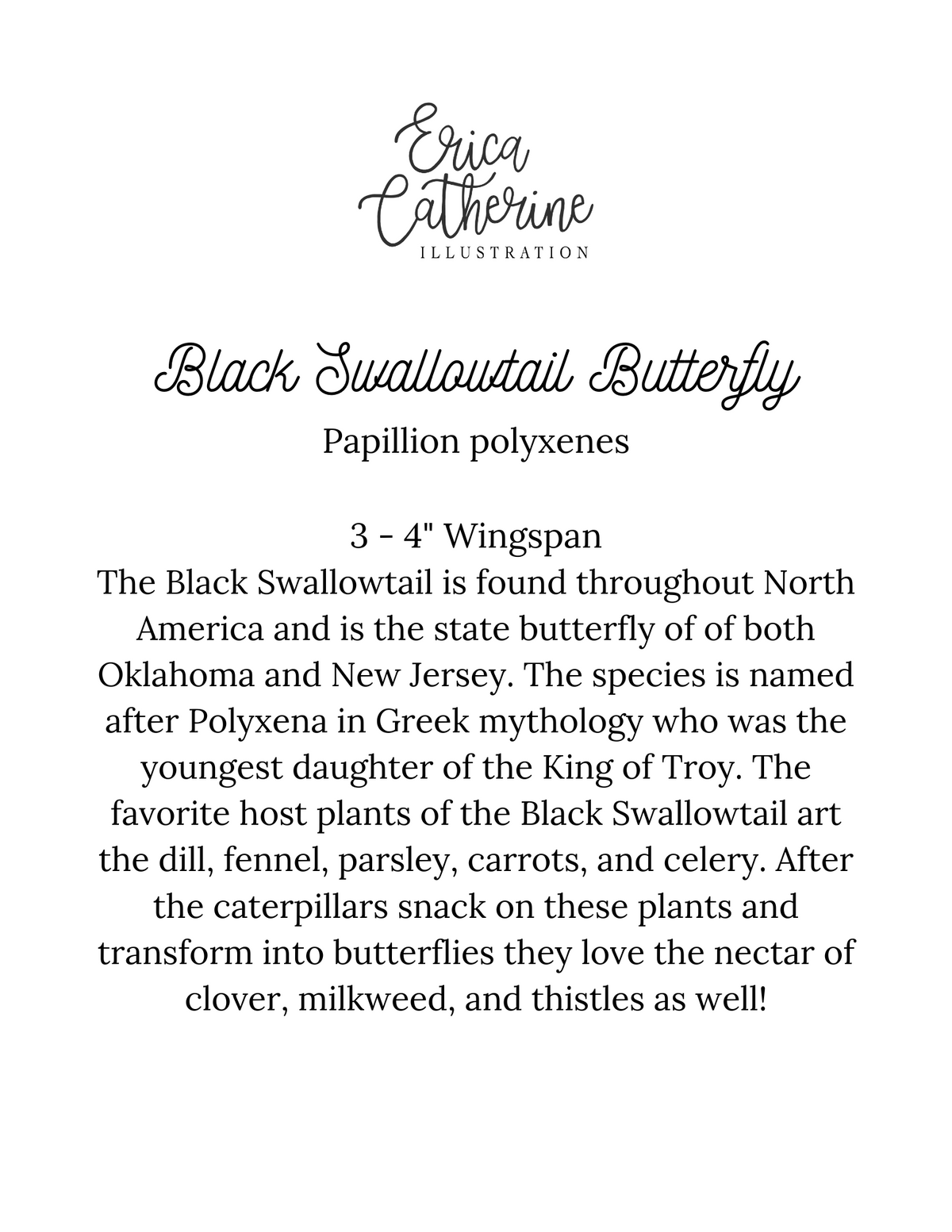 Black Swallowtail Butterfly Art Print