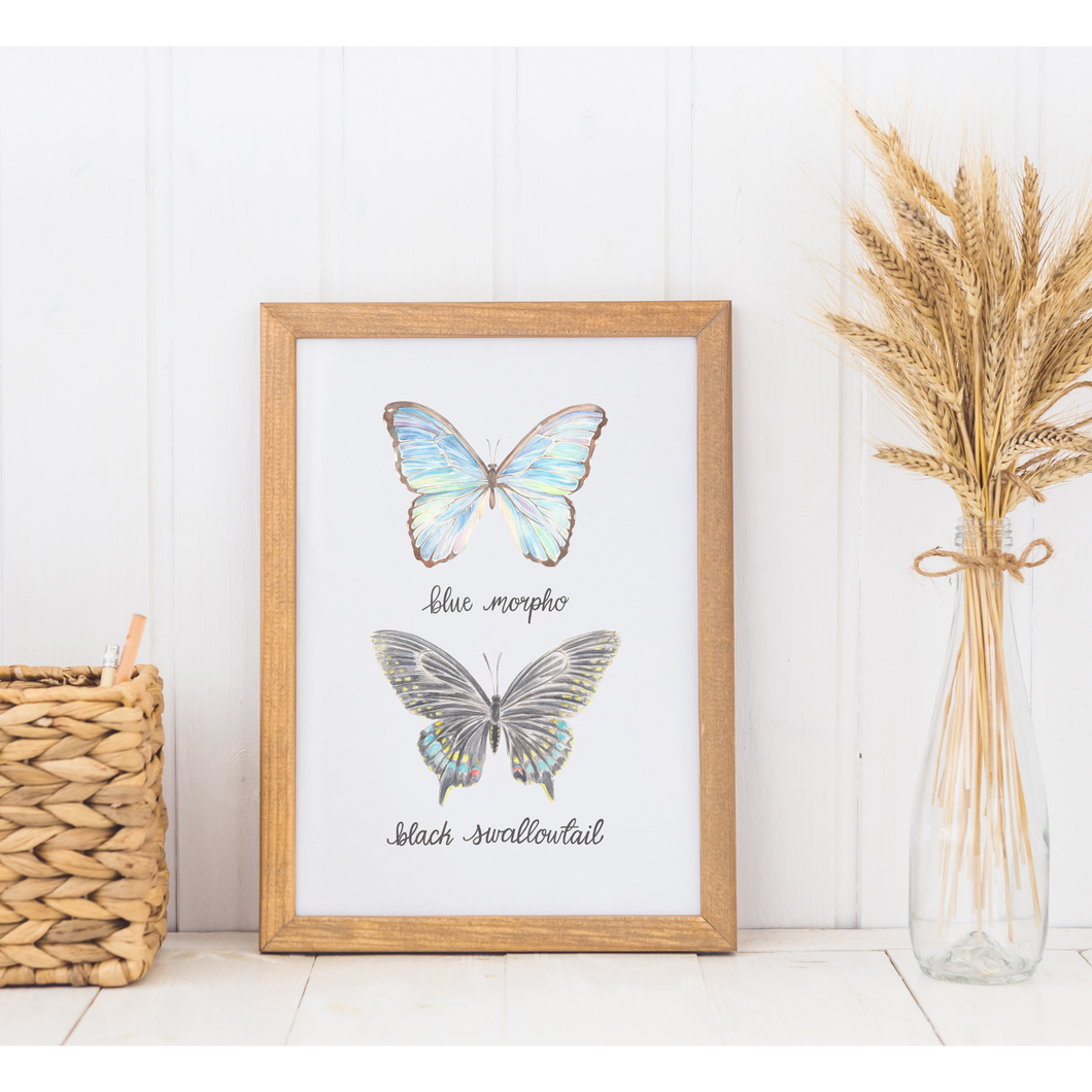Blue Morpho and Black Swallowtail Butterfly Art Print