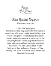 Load image into Gallery viewer, Blue Spotted Emperor Butterfly
