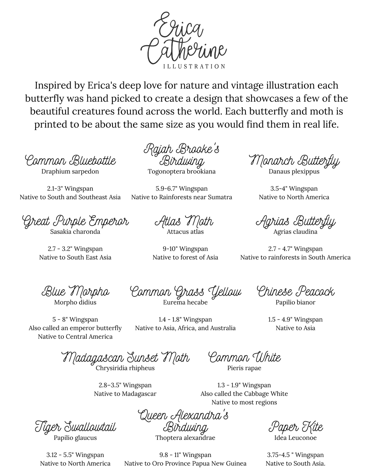Butterflies of the New Horizon Collection