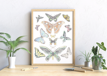 Load image into Gallery viewer, Butterflies of the New Horizon Collection
