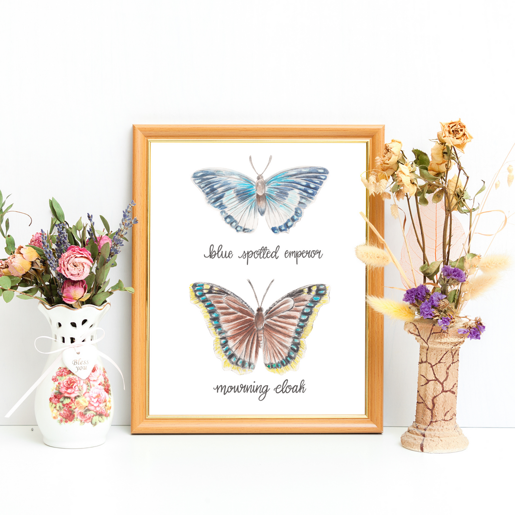 Framed butterfly print in a light wood frame with a vintage vase and dried flowers on either side. Butterfly print has two butterflies one on top of the other. The top butterfly is called the Blue spotted emperor and is a blue and white butterfly. The lower butterfly is called the mourning cloak, it is a brown butterfly with blue spots around the edge and a yellow band around the outside.